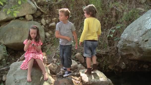 女の子は岩の上に座って 男の子は石を投げる — ストック動画