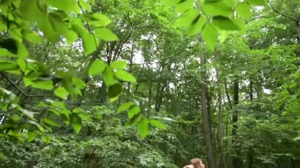 Para Siedząca Tyłu Pniu Lesie — Wideo stockowe