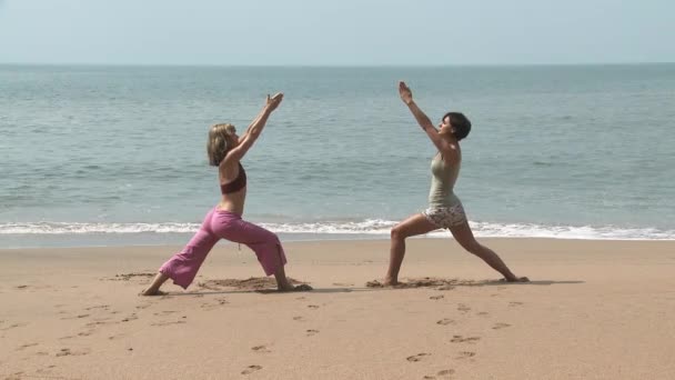 海でヨガを練習している2人の女性 — ストック動画