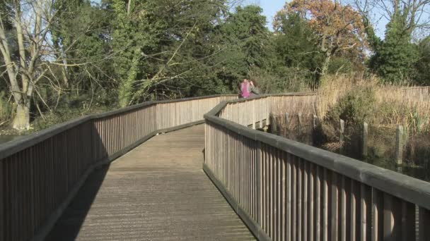 Paar Redet Und Geht Über Holzbrücke — Stockvideo