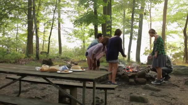 朋友们在森林篝火上烤棉花糖 — 图库视频影像