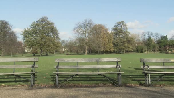 Couple Holding Hands Woman Walking Benches — Stock Video