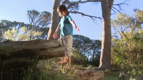 Kütük Boyunca Yürüyen Çocuk — Stok video
