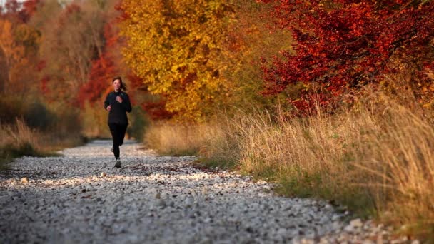 Ung Kvinna Jogging Genom Hösten Landsbygden — Stockvideo