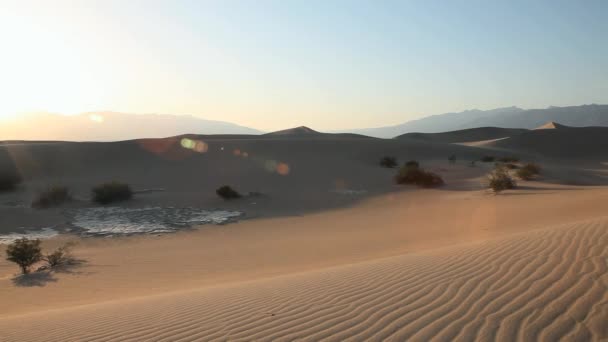 Panoramavy Death Valley National Park Mesquite Sanddyner California — Stockvideo