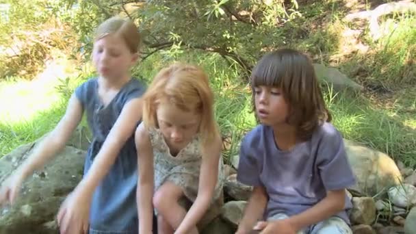 Дети Играют Реке — стоковое видео