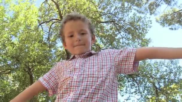 Niño Balanceando Caminando Registro Parque — Vídeo de stock