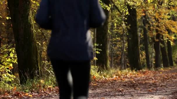 Pandangan Belakang Wanita Muda Joging Melalui Hutan — Stok Video