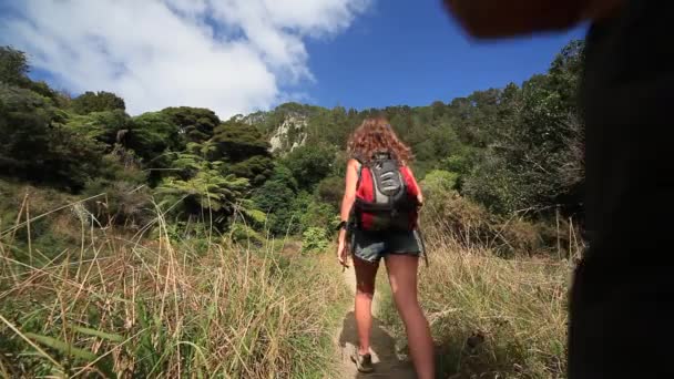 Caminhantes Caminhando Pela Natureza Selvagem — Vídeo de Stock