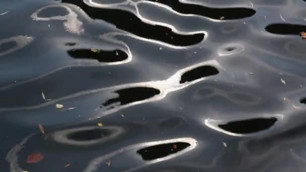 リップル水表面のクローズ アップ — ストック動画