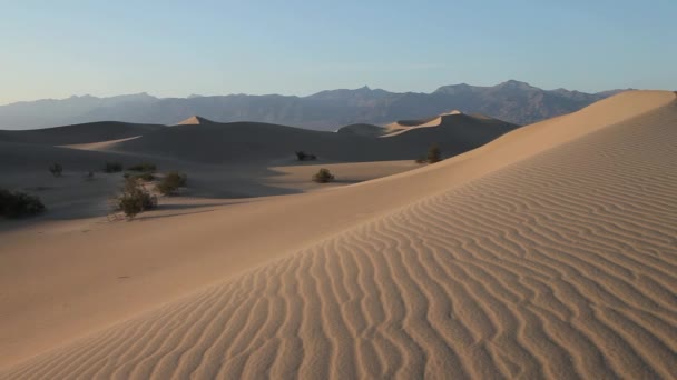 Panoramavy Death Valley National Park Mesquite Sanddyner California — Stockvideo