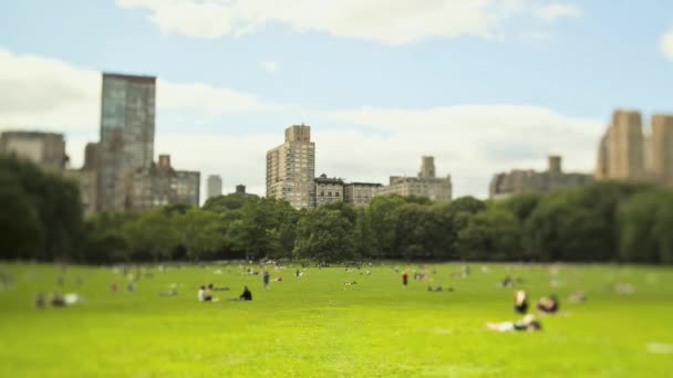 Uitzicht Central Park New York City New York Verenigde Staten — Stockvideo