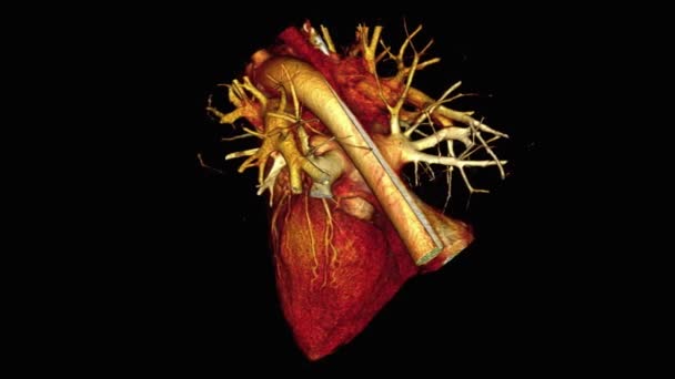 Corazón Humano Sobre Fondo Negro — Vídeos de Stock