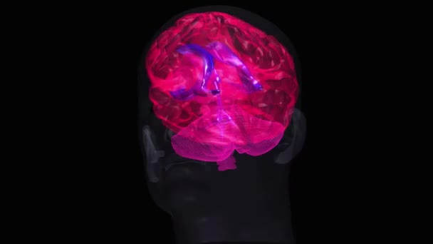Ludzki Mózg Czarnym Tle — Wideo stockowe
