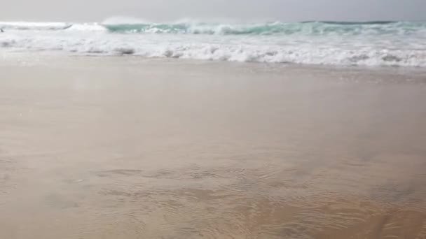 Kvinnan Promenader Längs Sandstranden — Stockvideo