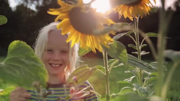 Portret Van Het Meisje Glimlachend Met Zonnebloemen — Stockvideo