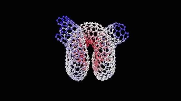 黑色背景上的纳米螺旋动画 — 图库视频影像