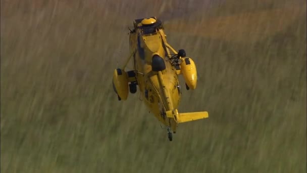 Aerial Raf Sea King Powietrzny Helikopter Ratowniczy Falklandy — Wideo stockowe