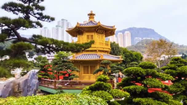 Vista Chi Lin Nunnery Golden Pagoda China — Vídeo de stock