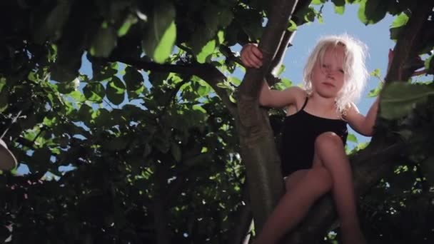 Χαμηλή Γωνία Προβολής Του Κοριτσιού Που Κάθεται Στο Δέντρο — Αρχείο Βίντεο