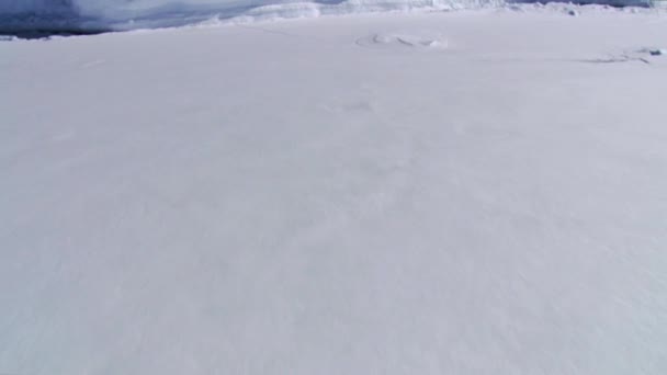 Luchtfoto Van Ijsformaties Erebus Terreur Golf Antarctica — Stockvideo