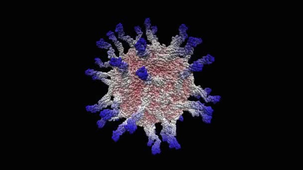 Virus Polio Sobre Fondo Negro — Vídeo de stock