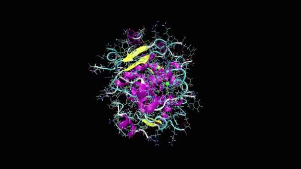 黑色背景胰岛素分子的动画 — 图库视频影像