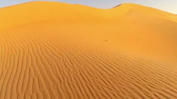 Sanddünen Der Wüste Tag — Stockvideo