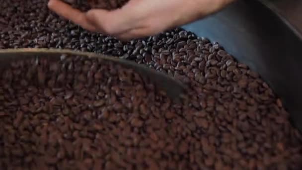 Trabajador Comprobar Granos Café Tostados Fábrica Procesamiento — Vídeo de stock