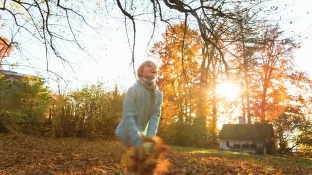 Boy Tossing Folhas Parque — Vídeo de Stock