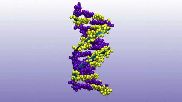 Mavi Arkaplanda Dna Molekülü — Stok video