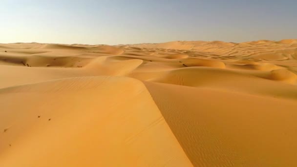 Sanddünen Der Wüste Tag — Stockvideo