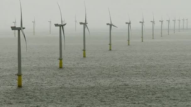 Vista Aérea Parque Eólico Walney Offshore Durante Dia — Vídeo de Stock