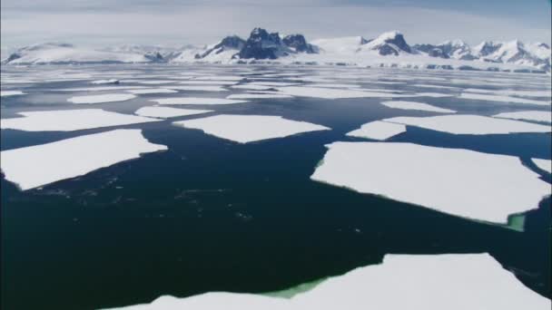 Vue Panoramique Mer Avec Banquise Péninsule Antarctique Antarctique — Video