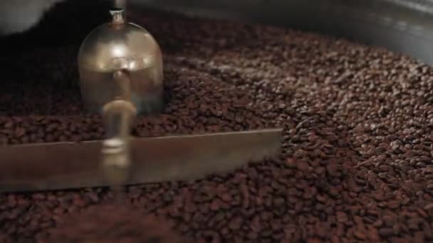 Primer Plano Granos Café Tostados — Vídeos de Stock