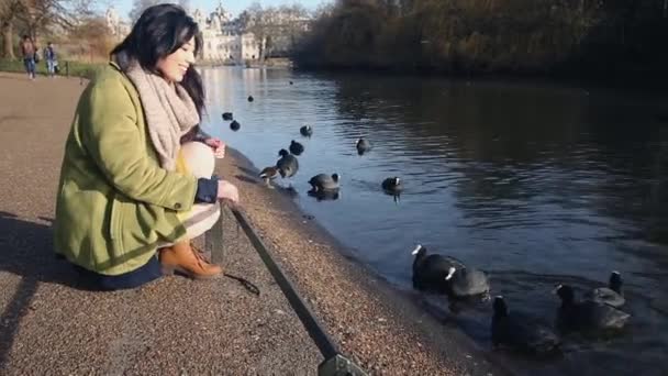 Γυναίκα Σίτιση Πτηνών Στην Πόλη — Αρχείο Βίντεο