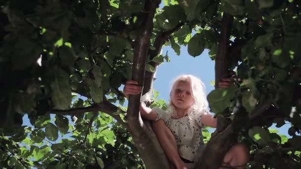 Blick Auf Mädchen Die Auf Baum Sitzen — Stockvideo