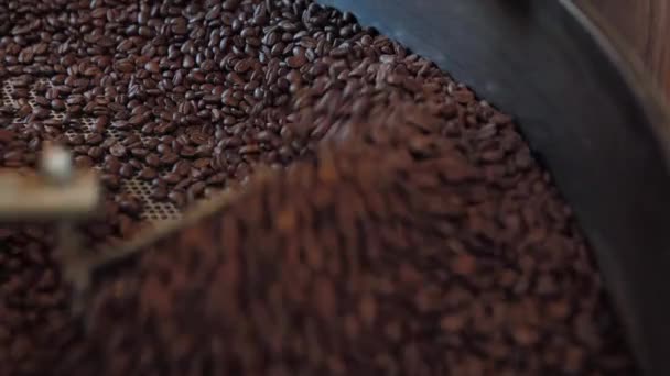 Şçi Işleme Fabrikasında Kavrulmuş Kahve Çekirdekleri Kontrol — Stok video