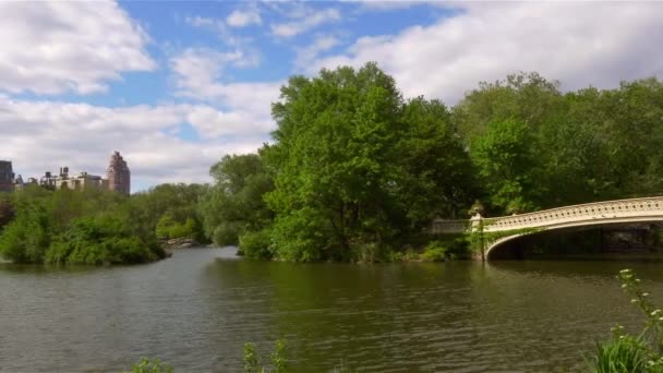 Central Park Denní New York Usa — Stock video