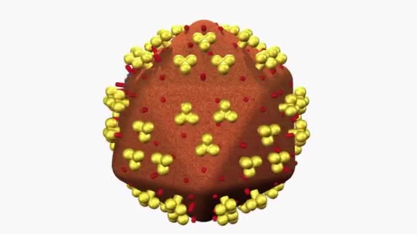 Animação Vírus Hiv Fundo Branco — Vídeo de Stock