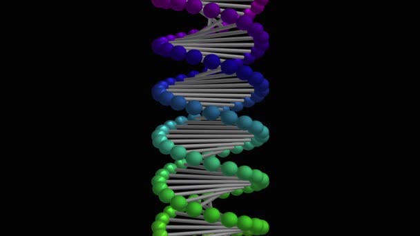 Siyah Arka Plan Üzerine Dna Molekülünün Grafik Animasyon — Stok video