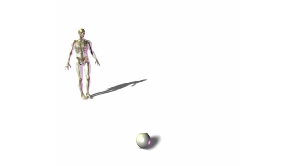 Skelet Kişi Beyaz Arka Plan Üzerinde Futbol Topu Tekmeleme — Stok video