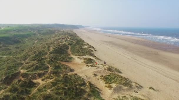 Vista Aerea Del Paesaggio Con Spiaggia — Video Stock