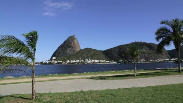 Playa Flamengo Montaña Sugarloaf — Vídeo de stock