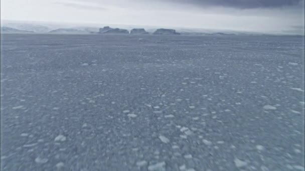 Landschap Met Ijsbergen Overdag — Stockvideo