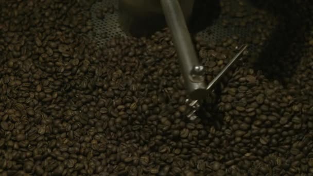 Close Feijões Torrador Café — Vídeo de Stock