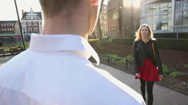 Homme Affaires Rencontrant Une Collègue Féminine Dans Parc — Video