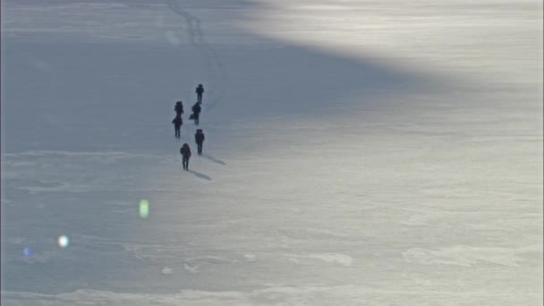 Veduta Degli Esploratori Che Camminano Sull Isola Innevata — Video Stock