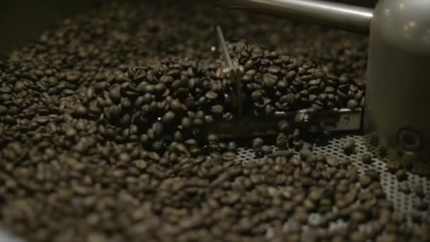Tutup Dari Beans Dalam Pemanggang Kopi — Stok Video