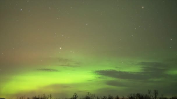 Neuvěřitelná Severní Světla Aurora Borealis — Stock video